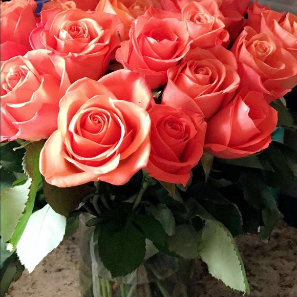 Meet your Posher, Amber - Picture 1 of 1